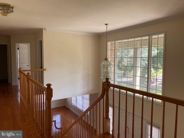 Building Photo - 8 Poplar Ct