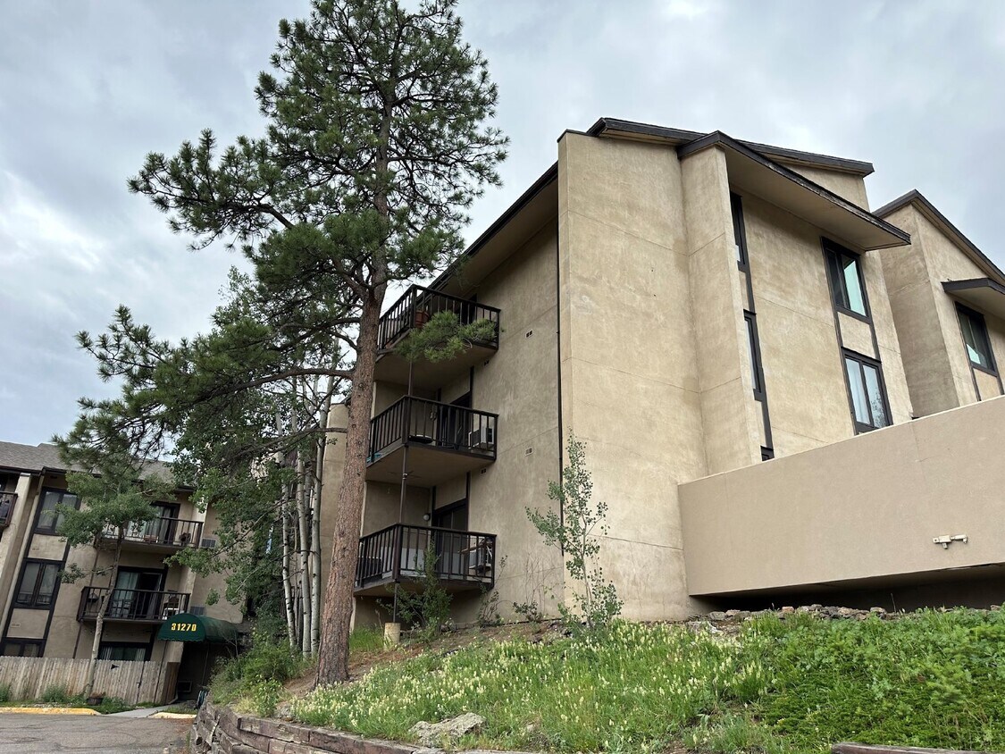 31270 John Wallace Rd Unit 210, Evergreen, CO 80439 Room for Rent