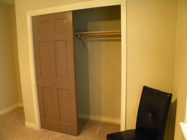 Double closet in bedroom - 171 Salina St