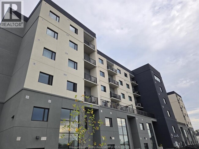 Photo du bâtiment - 7333 Meo Blvd
