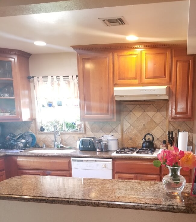 Kitchen Closeup - 2066 Trudie Dr