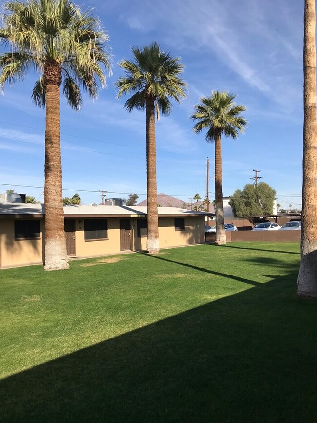 Building Photo - LARGE ONE BED ONE BATH