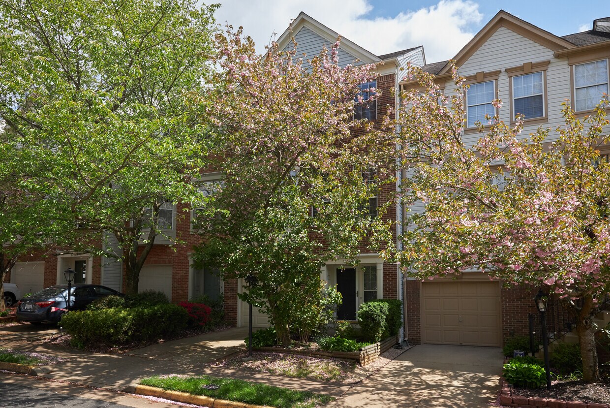 47581 Reef Terrace, Sterling, VA 20165 Townhouse for Rent in Sterling