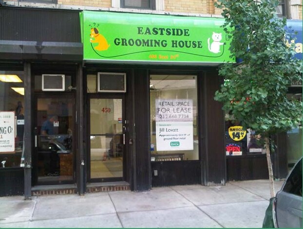 Retail - 450 East 81st Street