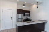 Located at 10063 S Creek Run Way in Sandy, Utah, this single-floor residence showcases a clean, contemporary design with an open and airy layout. The kitchen serves as a central focal point, featuring a large island with granite countertops, an undermount stainless steel sink, dark espresso cabinetry, and a full suite of stainless steel appliances including a refrigerator, electric range, and microwave. Stylish pendant lighting and a track rail system illuminate the space, complementing the soaring ceilings that lend a sense of grandeur to the open living area. Light-toned luxury vinyl plank flooring flows throughout the main living spaces, creating a warm and cohesive aesthetic. The bedroom is finished with plush neutral carpeting, a ceiling fan, and a bright window that allows natural light to fill the room. Two bathrooms are present — one featuring a full soaking tub and shower combination, and the other a walk-in shower stall — both appointed with brushed nickel fixtures and granite-topped vanities. A dedicated in-unit laundry closet with a stacked washer and dryer adds everyday convenience. The overall palette of crisp white walls and modern finishes creates a bright, welcoming atmosphere throughout.