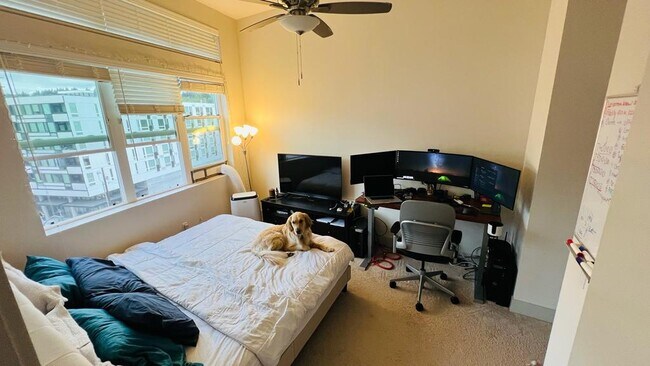 Bedroom with one king bed - 15892 Bear Creek Pky