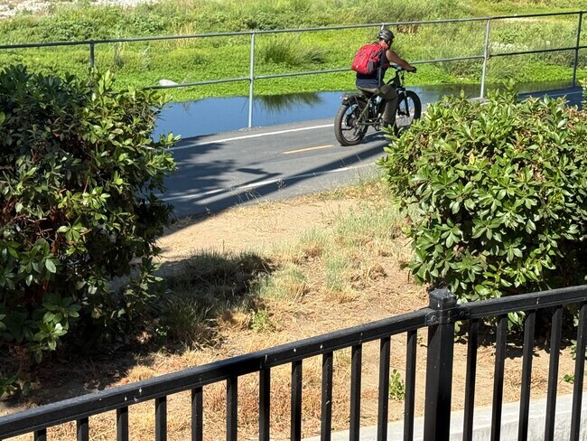 Carril bici - 2978 Ripple Pl