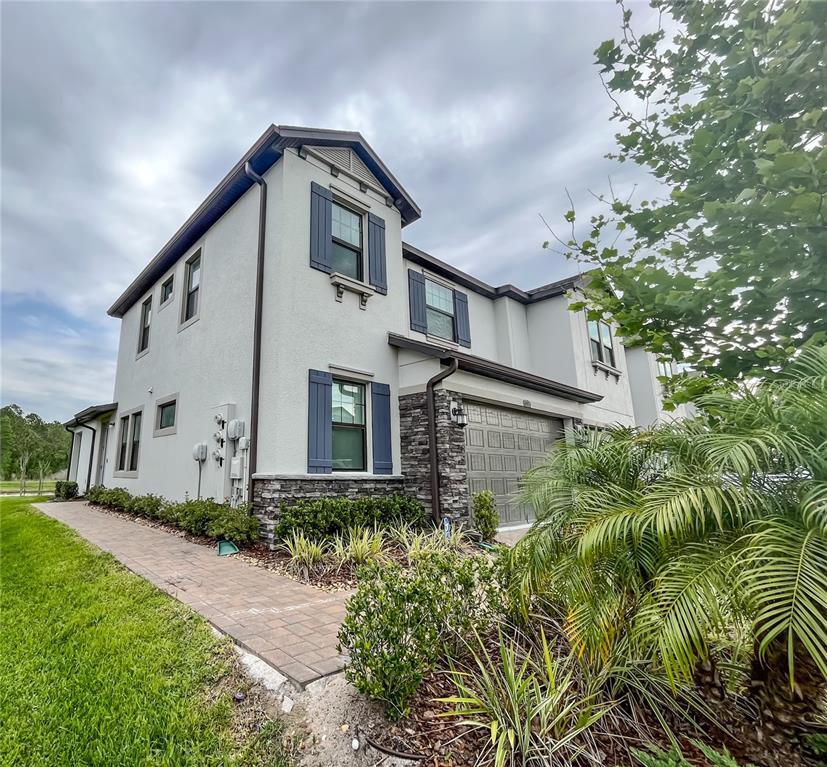 4918 San Martino Dr, Wesley Chapel, FL 33544 Townhome Rentals in