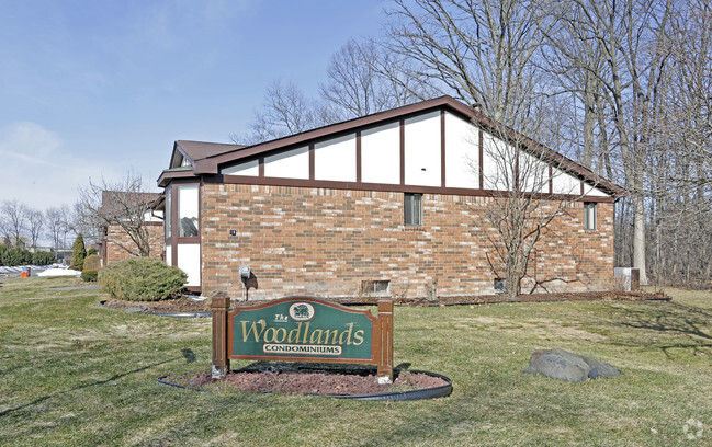 Building Photo - The Woodlands Condos