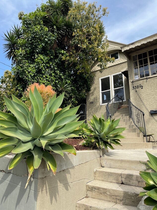 Primary Photo - 332 Douglas St