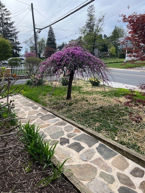 Building Photo - 140 W Evergreen St