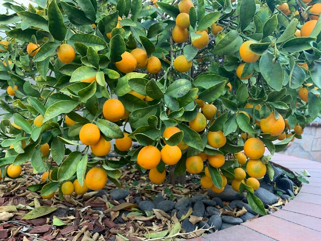 Foto del edificio - 8923 Grandville Cir