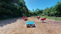 Located at 1100 Legends Club Dr in Mount Pleasant, South Carolina, this outdoor dog park is a well-appointed amenity designed to provide a safe and engaging environment for pets and their owners. The space is fully enclosed by a chain-link fence, ensuring secure off-leash activity throughout the area.

The ground is covered with a generous layer of wood chip mulch, providing a comfortable and low-maintenance surface for dogs to run and play. A variety of colorful agility equipment is spread throughout the park, including a red tunnel, a hoop jump, an elevated platform table, and decorative dog-shaped obstacles — offering both physical and mental stimulation for pets of all sizes.

Wooden benches are positioned around the park, giving owners a comfortable place to relax while keeping a close eye on their dogs. A waste station is conveniently located near the entrance to encourage cleanliness and responsible pet ownership.

The park is bordered by mature trees, native shrubs, and ornamental grasses, creating a natural, wooded backdrop that provides shade and a sense of seclusion. The open sky above allows for ample natural light, making the space bright and inviting on clear days. The overall atmosphere is relaxed and nature-connected, offering a pleasant outdoor retreat for both dogs and their owners.