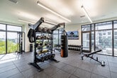 Located at 5050 Aspire Way in Naples, Florida, this contemporary fitness center offers a thoughtfully designed, single-floor layout across a generously sized space organized into five distinct functional zones. The facility is bathed in natural light through expansive floor-to-ceiling windows that frame views of swaying palm trees and the surrounding Naples landscape, creating an inviting and energizing atmosphere throughout.

The main cardio area features a robust lineup of treadmills, ellipticals, and other aerobic machines arranged along the windowed perimeter, complemented by wall-mounted flat-screen televisions. A dedicated strength training zone houses a full multi-cable functional trainer, a comprehensive free weights rack with dumbbells, kettlebells, and a heavy bag suspended from a multi-purpose power rack. A ceiling fan keeps air circulating over the open floor plan.

A separate functional training room features a striking ocean-themed mural wall and a mounted large-screen television, providing an ideal space for plyometric and bodyweight training, complete with plyo boxes. A refreshment counter with a beverage cooler and neatly stacked towels adds a premium touch near the entrance. Durable rubber-tile flooring runs throughout, and modern linear pendant lighting ensures excellent visibility. Distinct zones are labeled for specialized training modalities, rounding out a fully equipped, resort-style fitness experience.
