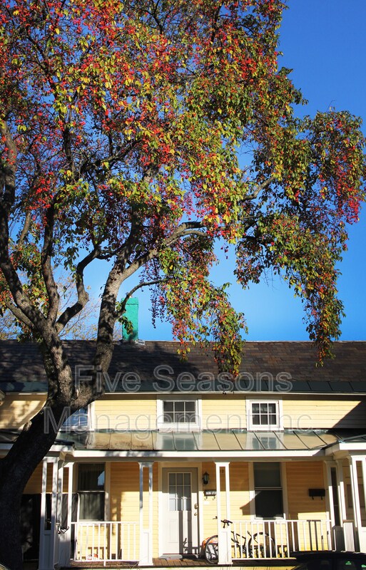 Foto del edificio - 202 Pine St