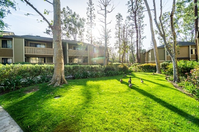 Interior Photo - River Oaks Apartments