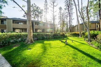 Interior Photo - River Oaks Apartments