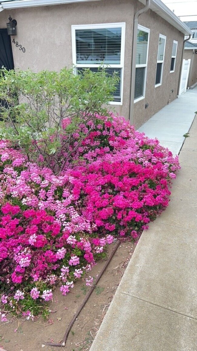 Foto del edificio - 1 Block from the Beach! Apartment Home in Ocean Beach! Private Garage! Private Patio!