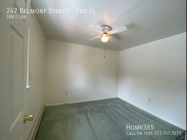 Building Photo - 247 Belmont St Unit 2, Carbondale