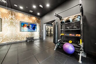 Dedicated strength training equipment supports your fitness goals. - SoLe Mia Rentals