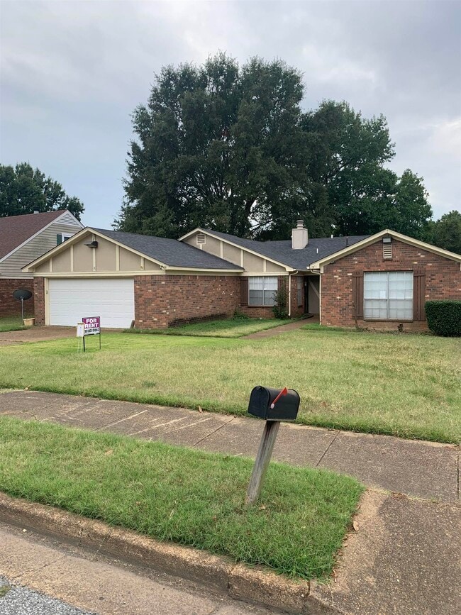 Foto del edificio - 3381 Cristil St