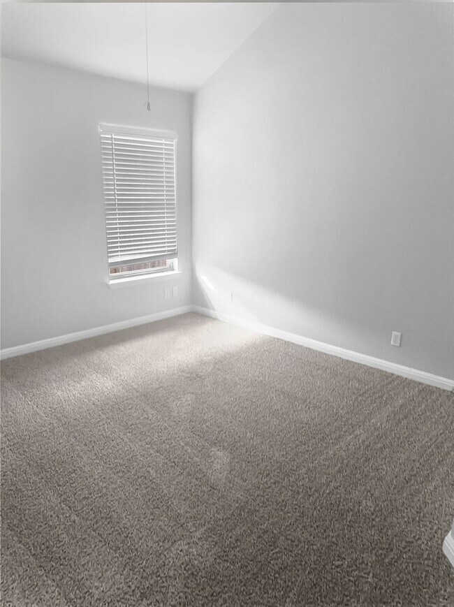 Foto del edificio - STONE OAK AREA