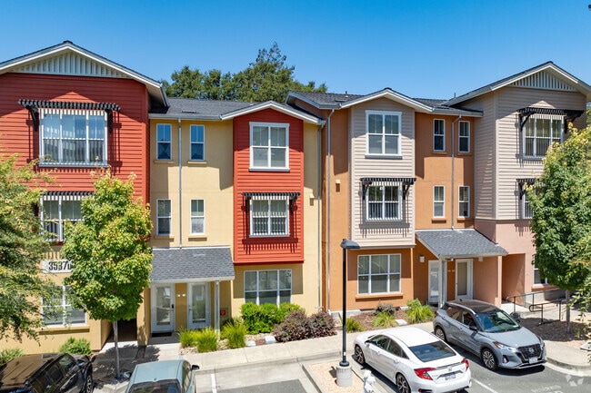 Building Photo - The Meadows at Fountaingrove