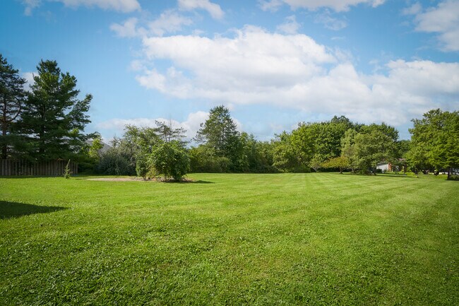 Building Photo - 4226 Broadview Rd