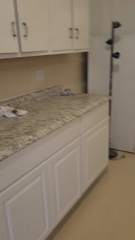 Newly renovated kitchen counters and cabinets - 1442 Queen Anne Rd