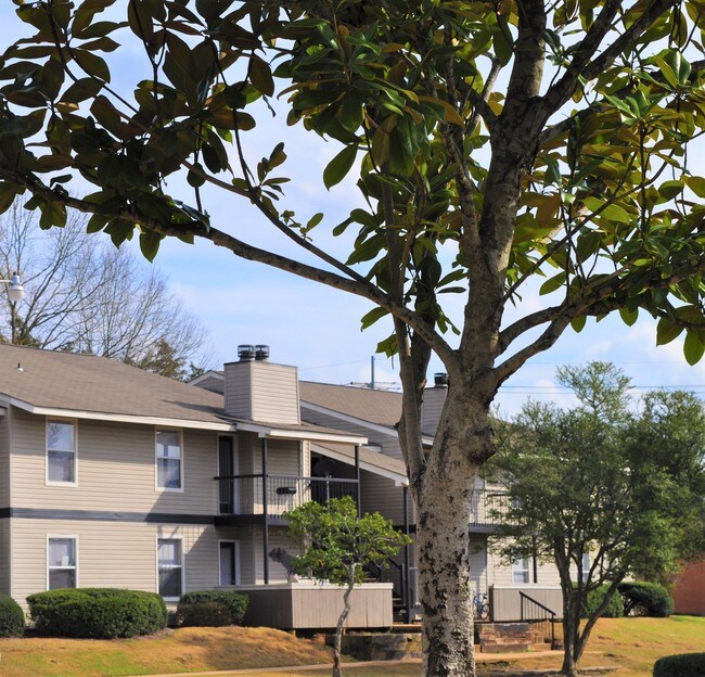 Ridgeland Ranch Apartments Ridgeland Ms Apartments Com Ridgeland Ranch Apartments Ridgeland Ms Apartments Com