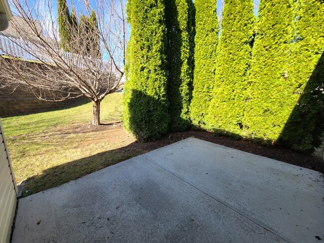 Rear Patio - 902 Parade Ln
