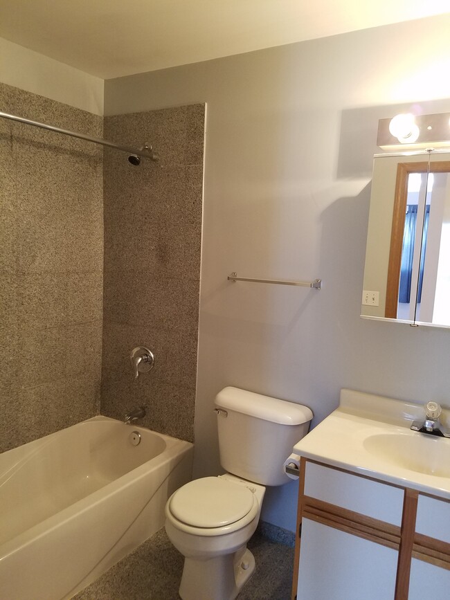 Bathroom - 1551 W Crystal Rock Ct