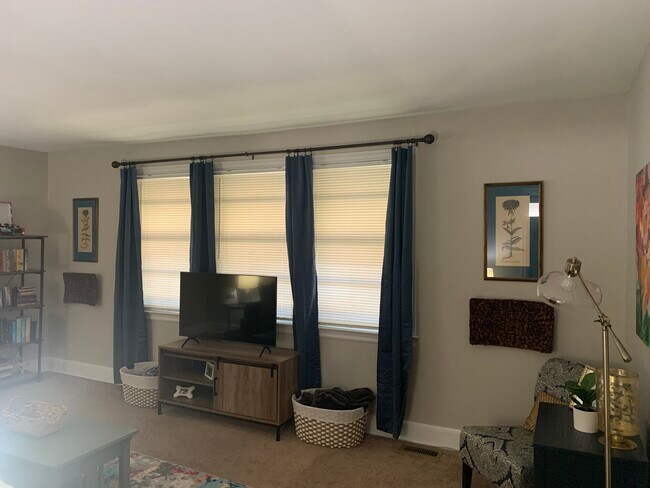 Large windows - 1229 Jensen St