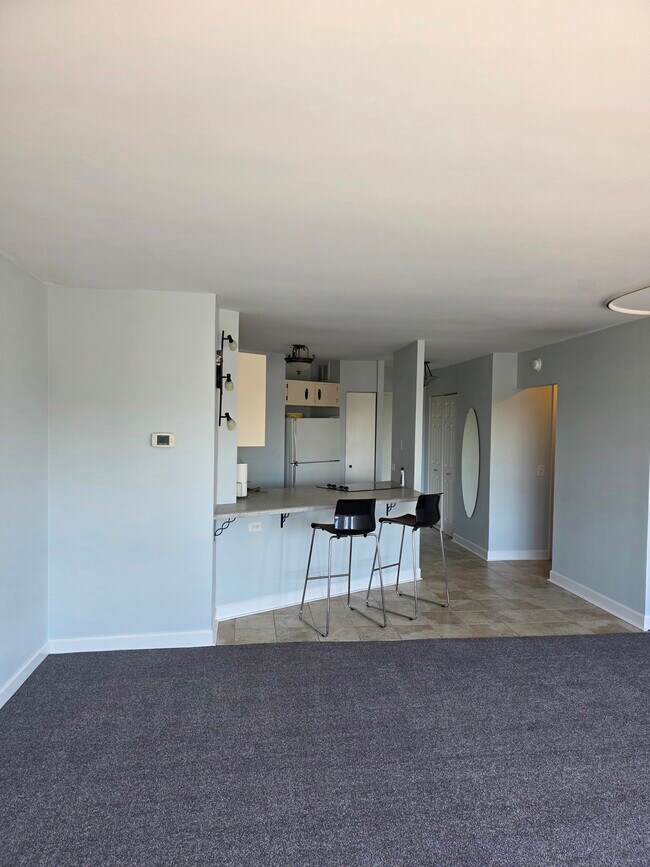 Photo - 5415 N Sheridan Rd Apartment