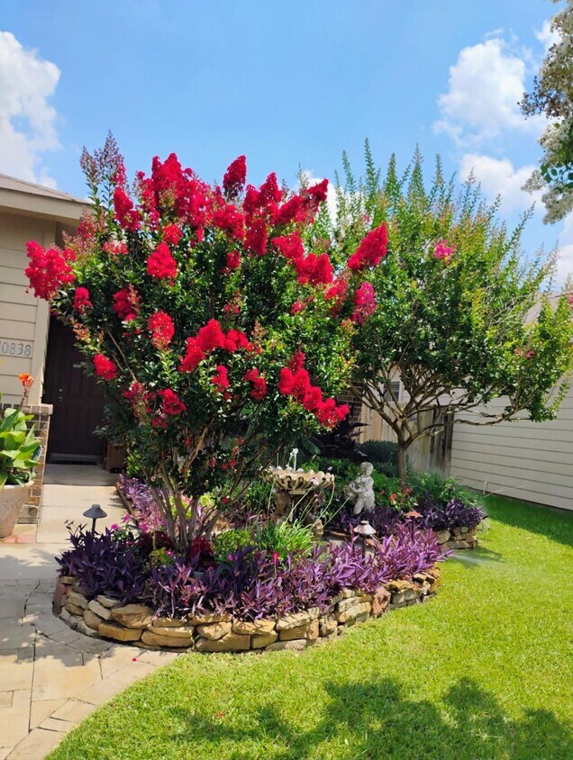 Foto principal - 10838 Harston Dr