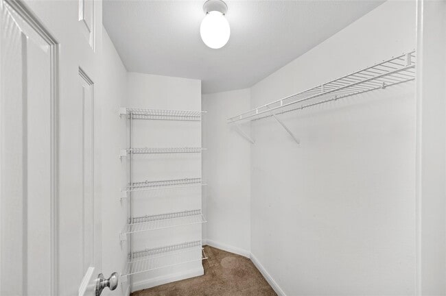 Building Photo - 3231 Allen Pkwy