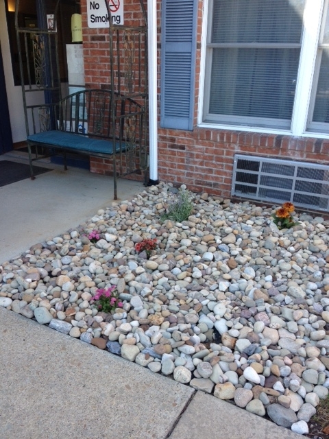 Foto principal - 310 Cadwallader St