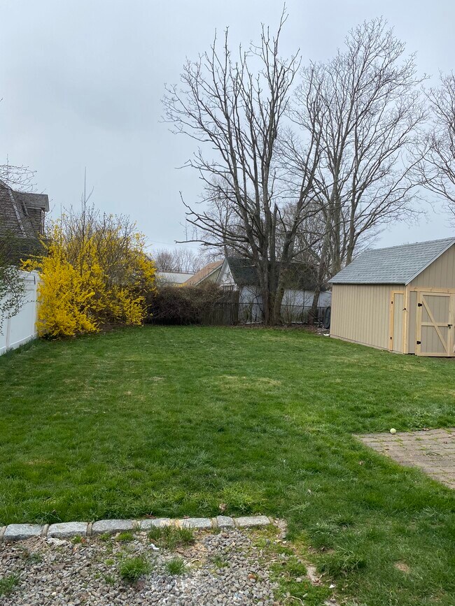 Backyard - 705 Wiggins St
