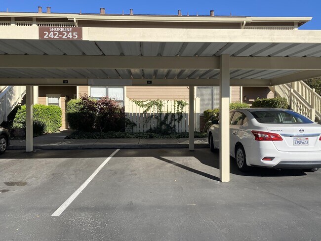 Foto del edificio - 244 Shoreline Ct