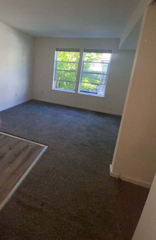 Foto del edificio - FREE APRIL RENT! Contemporary Queen Anne S...