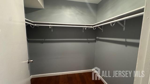 Building Photo - 119 Acadia Ct