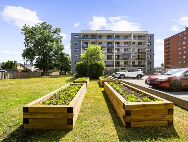 Photo du bâtiment - The Brighton Apartments