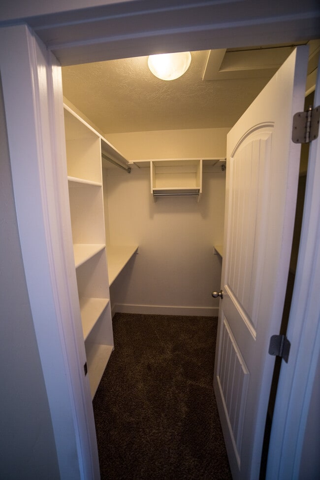 Photo - 1711 W Hamilton Dr House