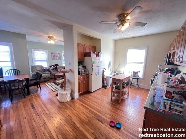 2 litros - 3 Foster St