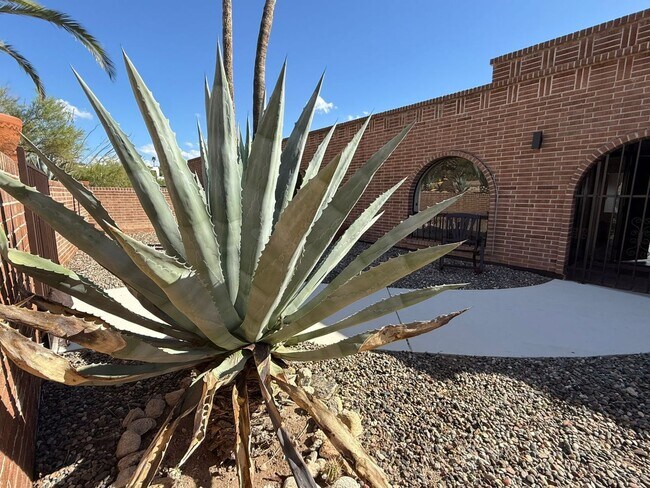 Foto del edificio - 1402 E Big Rock Rd