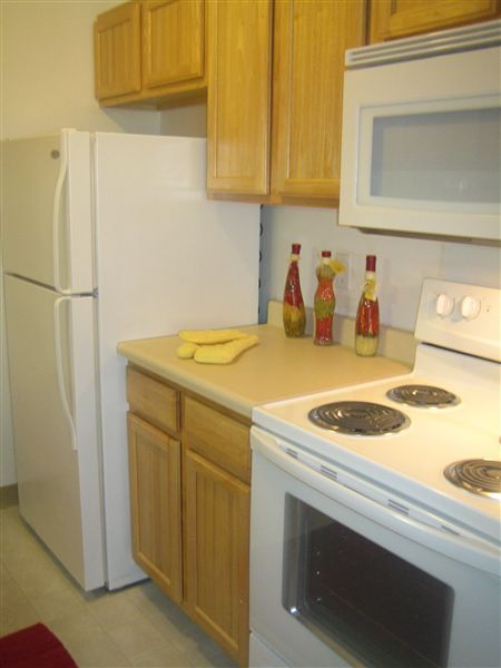 Primary Photo - 2 br, 1 bath Apartment - Yale Apartments