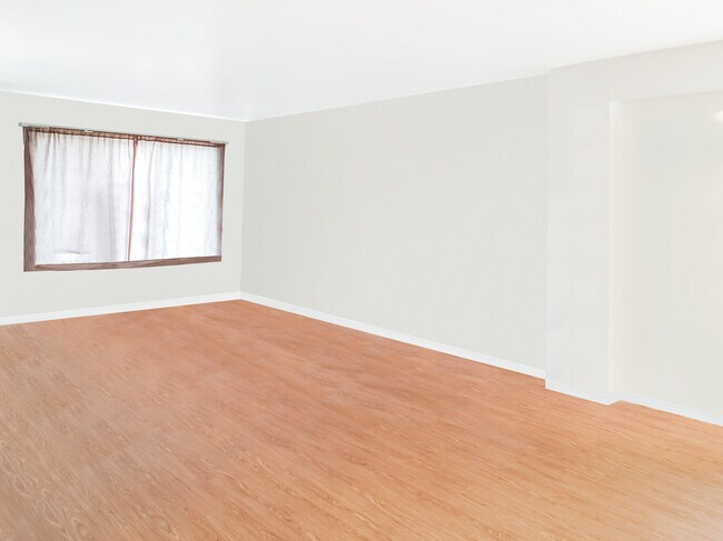 Living Room - 338 Wilcox St