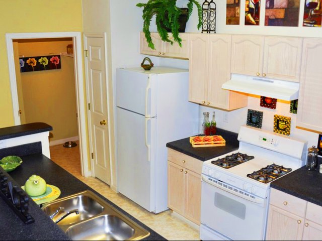 River Birch Apartment Homes Phase II Rentals - Charlotte, NC ... River Birch Apartment Homes Phase II Rentals - Charlotte, NC ...