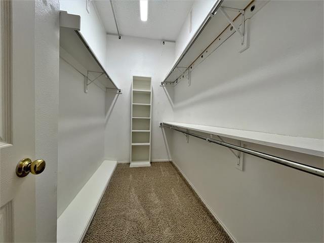Building Photo - 11033 Lockshire Dr