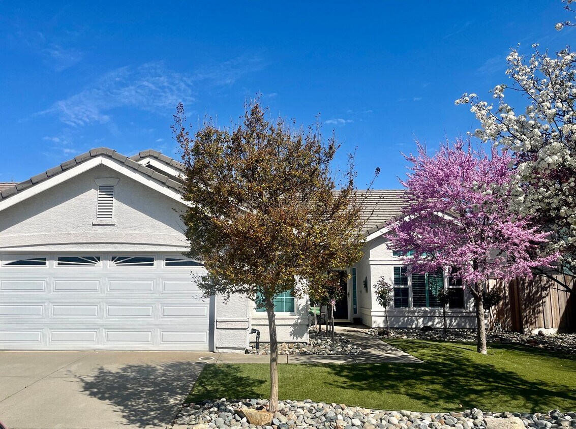 8648 Spring House Way, Elk Grove, CA 95624 House Rental in Elk Grove
